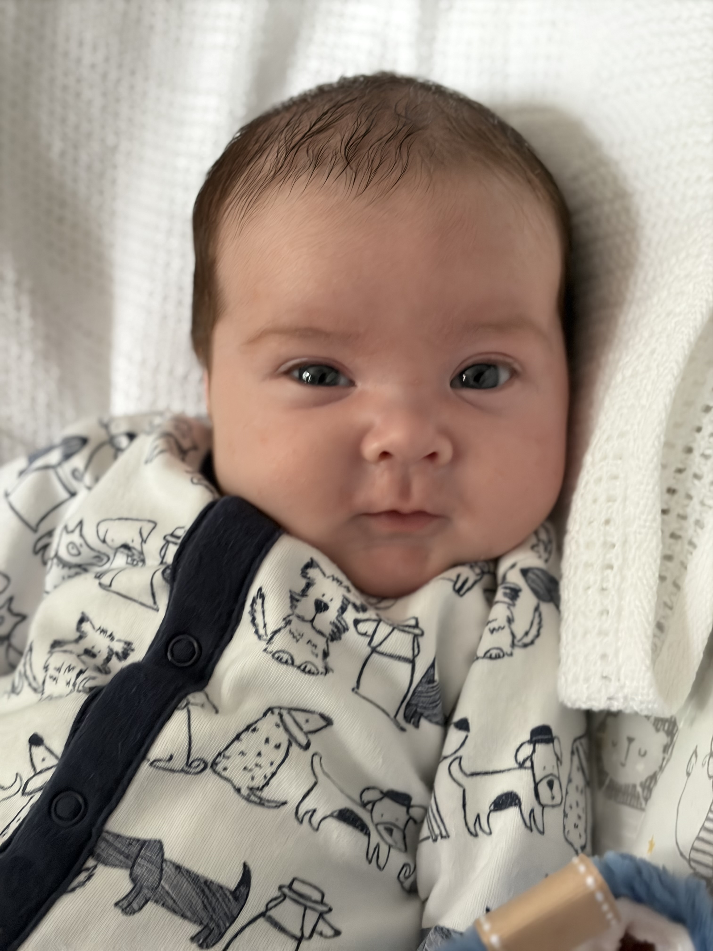 Close up shot of baby Ally out of hospital in a baby seat