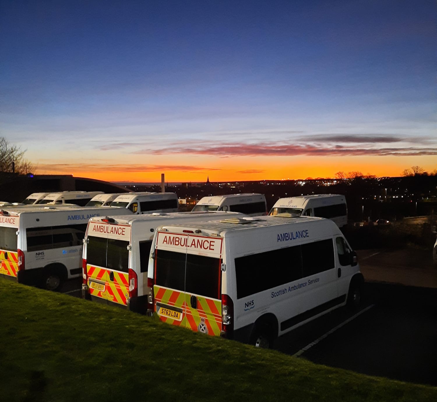 Row of Scheduled Care vehicles under blue sky