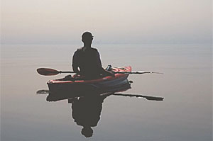 Wellbeing and support